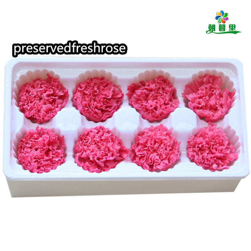 Preserved Carnation 4-5cm For Mother‘s Day DIY Flower Material 3