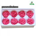 Preserved Carnation 4-5cm For Mother‘s Day DIY Flower Material 3