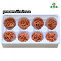 Preserved Carnation 4-5cm For Mother‘s Day DIY Flower Material 6