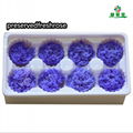 Preserved Carnation 4-5cm For Mother‘s Day DIY Flower Material 9