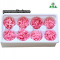 Preserved Carnation 4-5cm For Mother‘s Day DIY Flower Material 10