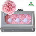 Preserved Carnation 4-5cm For Mother‘s Day DIY Flower Material 1