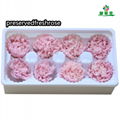 Preserved Carnation 4-5cm For Mother‘s Day DIY Flower Material 13