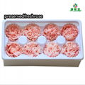 Preserved Carnation 4-5cm For Mother‘s Day DIY Flower Material 14