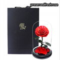 Flower Gift For Women Preserved Rose