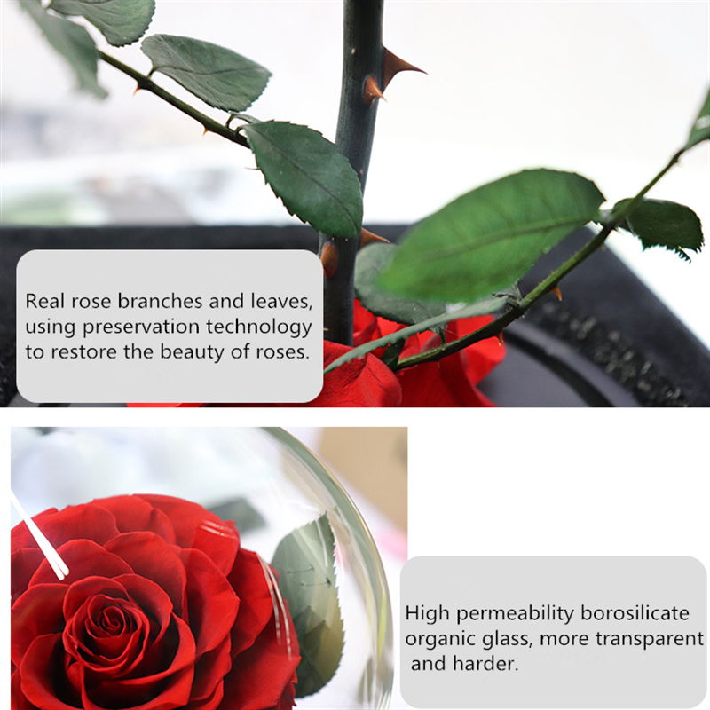 Flower Gift For Women Preserved Rose Gifts For Christmas Day 3