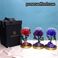 Preserved Rose Flower Gifts With Metal