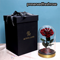 Preserved Rose Flower Gifts With Metal Base In Glass Cover For Festival