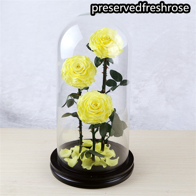 Three Lives III Preserved Flower Gift Giant 3Roses In Glass Cover For Love 4
