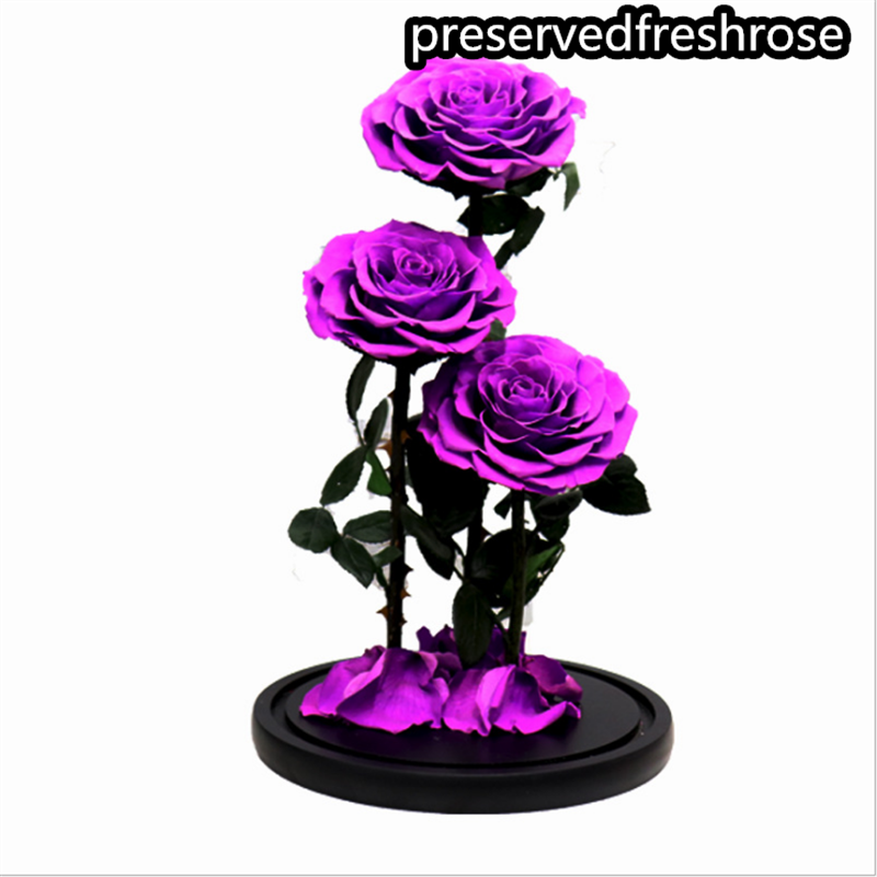 Three Lives III Preserved Flower Gift Giant 3Roses In Glass Cover For Love 5