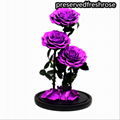 Three Lives III Preserved Flower Gift Giant 3Roses In Glass Cover For Love 5