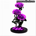 Three Lives III Preserved Flower Gift Giant 3Roses In Glass Cover For Love