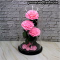 Three Lives III Preserved Flower Gift Giant 3Roses In Glass Cover For Love 7