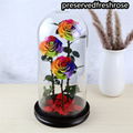 Three Lives III Preserved Flower Gift Giant 3Roses In Glass Cover For Love 8