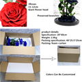 Three Lives III Preserved Flower Gift Giant 3Roses In Glass Cover For Love 13