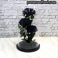 Three Lives III Preserved Flower Gift Giant 3Roses In Glass Cover For Love 9