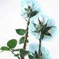 Three Lives III Preserved Flower Gift Giant 3Roses In Glass Cover For Love 2