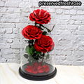 Three Lives III Preserved Flower Gift Giant 3Roses In Glass Cover For Love 11