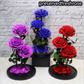 Three Lives III Preserved Flower Gift Giant 3Roses In Glass Cover For Love