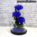 Three Lives III Preserved Flower Gift Giant 3Roses In Glass Cover For Love 12