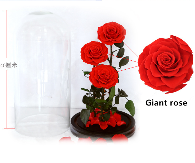 Three Lives III Preserved Flower Gift Giant 3Roses In Glass Cover For Love 3