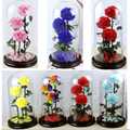 Three Lives III Preserved Flower Gift Giant 3Roses In Glass Cover For Love