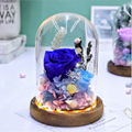 Preserved Rose Gift With LED Lights, Creative Gifts For Christmas Day
