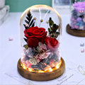 Preserved Rose Gift With LED Lights, Creative Gifts For Christmas Day 1