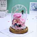 Preserved Rose Gift With LED Lights, Creative Gifts For Christmas Day 4