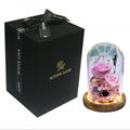 Preserved Rose Gift With LED Lights, Creative Gifts For Christmas Day 6