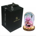 Preserved Rose Gift With LED Lights, Creative Gifts For Christmas Day
