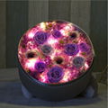 Preserved Flower Gift Box With Lights For Christmas Day Gifts 6