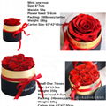 Preserved Roses Hug Bucket Gifts Eternal Flowers Gift Box For Valentines Day 4