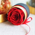 Preserved Roses Hug Bucket Gifts Eternal Flowers Gift Box For Valentines Day 12