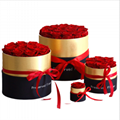 Preserved Roses Hug Bucket Gifts Eternal