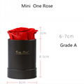 Preserved Flowers Gift  Of Hug Bucket  Eternal Roses Gifts Box 8