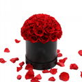 Dome Shape Real Natural Long lasting Immortal Eternal Forever Flower In Gift Box