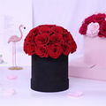 Dome Shape Real Natural Long lasting Immortal Eternal Forever Flower In Gift Box 12