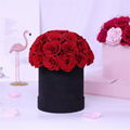 Dome Shape Real Natural Long lasting Immortal Eternal Forever Flower In Gift Box