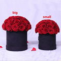 Dome Shape Real Natural Long lasting Immortal Eternal Forever Flower In Gift Box