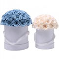 Dome Shape Real Natural Long lasting Immortal Eternal Forever Flower In Gift Box