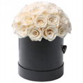 Dome Shape Real Natural Long lasting Immortal Eternal Forever Flower In Gift Box