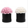 Dome Shape Real Natural Long lasting Immortal Eternal Forever Flower In Gift Box 5