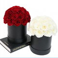 Dome Shape Real Natural Long lasting Immortal Eternal Forever Flower In Gift Box 1