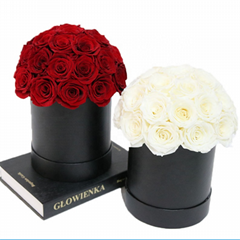 Dome Shape Real Natural Long lasting Immortal Eternal Forever Flower In Gift Box