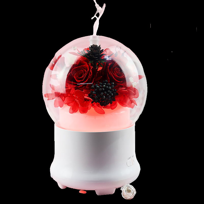 Aromatherapy Humidifier With Preserved Flowers Home Air Humidifier 2