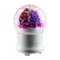 Aromatherapy Humidifier With Preserved Flowers Home Air Humidifier