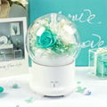 Aromatherapy Humidifier With Preserved Flowers Home Air Humidifier