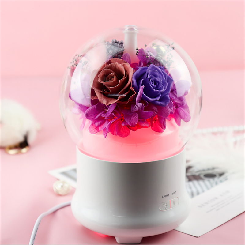 Aromatherapy Humidifier With Preserved Flowers Home Air Humidifier