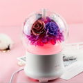 Aromatherapy Humidifier With Preserved Flowers Home Air Humidifier